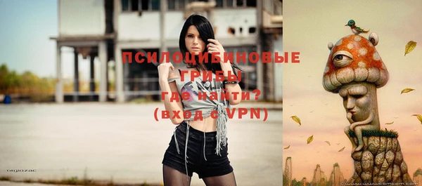 молекула духа Алексеевка