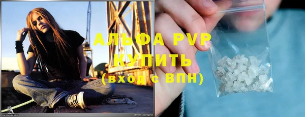 Альфа ПВП Новодвинск