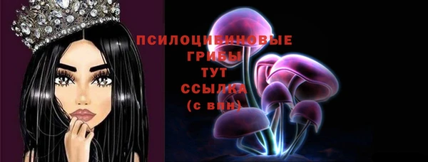 гидра Новокубанск