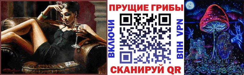 Галлюциногенные грибы Cubensis  закладка  Собинка 